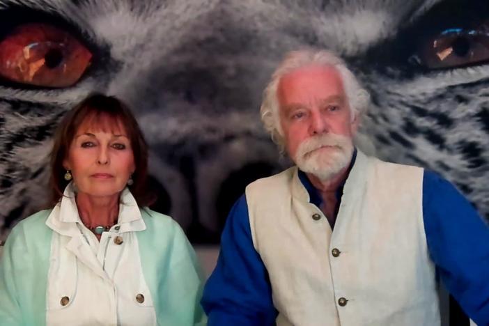 Conservationists Beverly and Dereck Joubert discuss a nearly fatal buffalo attack.
