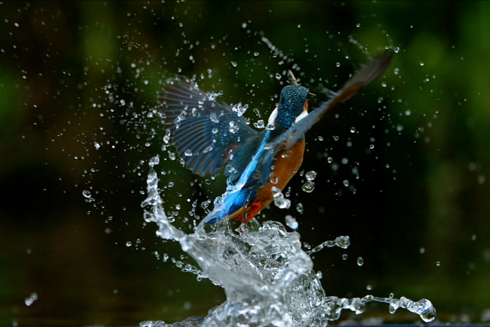 Journey down the Shannon, Ireland's wild river. 