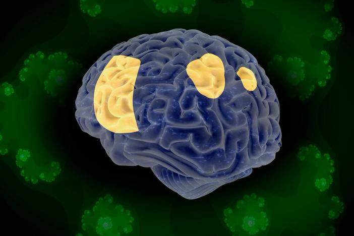 Scientists discovered how psychedelics might radically change brain region communication.
