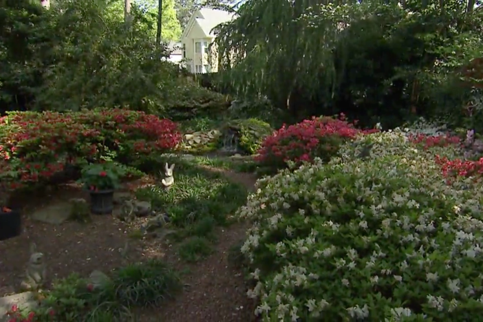 Sharon Collins shows viewers how they can explore and appreciate nature in their backyard.