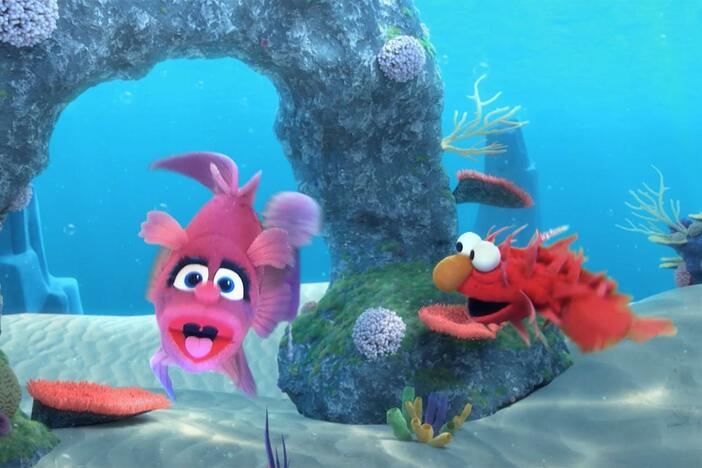 Move your fins all around the ocean to this fishy tune!