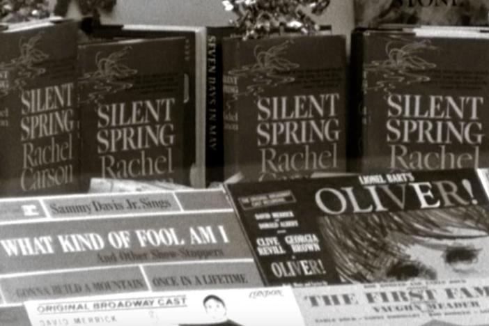 First chapter, “Rachel Carson” on American Experience PBS.