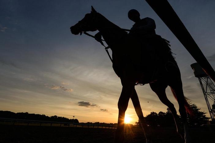 Why horses are dying at U.S. racetracks at an alarming rate