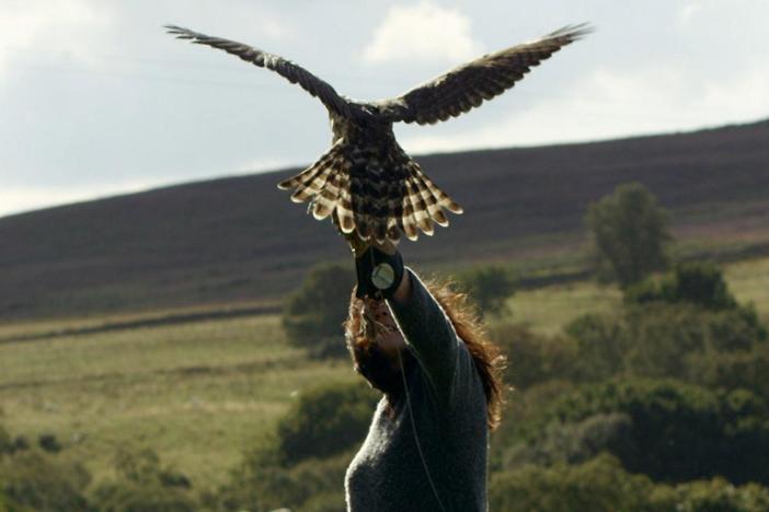 Falconer Helen Macdonald Takes Goshawk Out for Test Flight