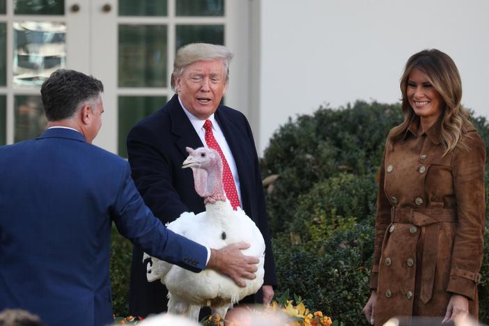 Trump dishes out double helping of presidential turkey pardon