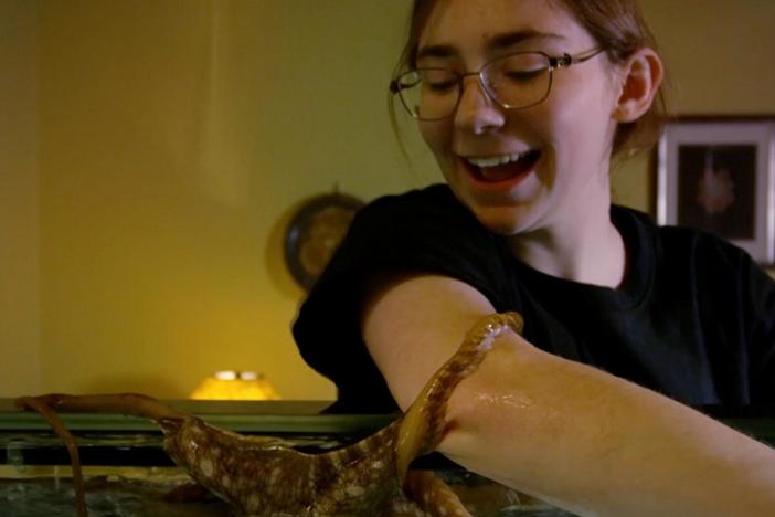 See the playful relationship between Laurel and an octopus.