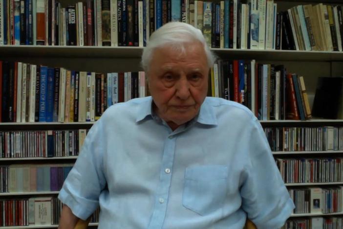 Naturalist Sir David Attenborough reflects on Earth Day and social isolation.