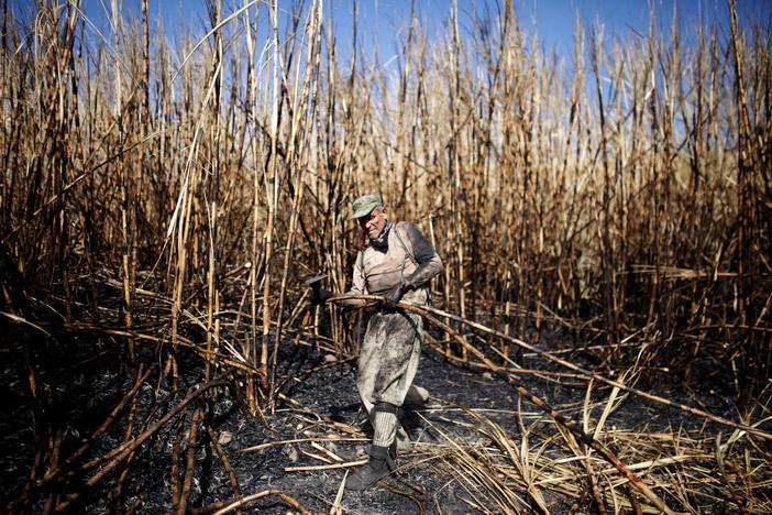 Salvadoran cane cutters still continue the grueling work, pushed by economic troubles.