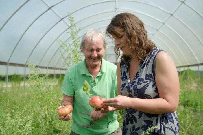 Vivian visits Warren's farm and discovers a wild tomato patch.