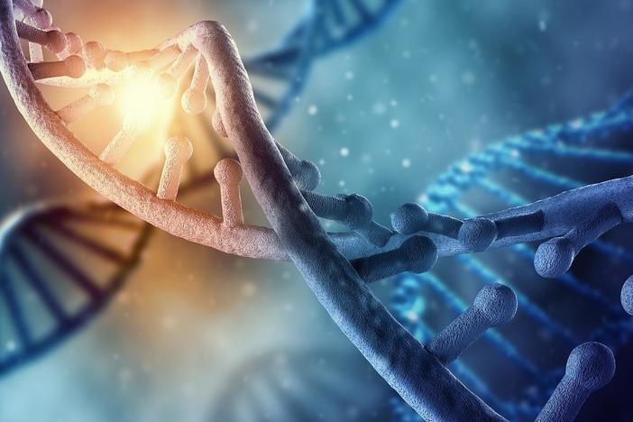 A revolution in gene editing enables scientists to create and edit DNA like never before.