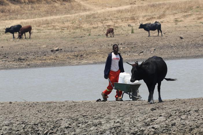 How climate and corruption have combined to create Zimbabwe's food crisis