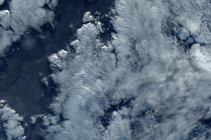 NASA astronaut Scott Kelly misses more than people as he orbits the Earth for a year. 