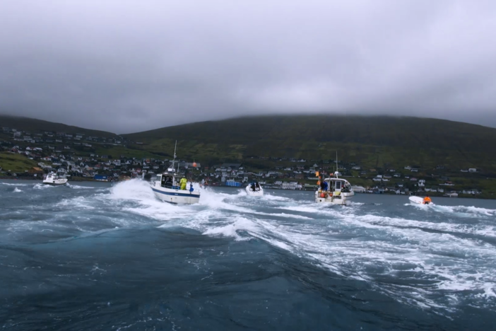 This clip show the traditional technique used by the Faroese to herd whales into the bay.