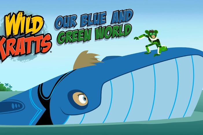 The Kratt brothers disagree on what’s better: blue oceans or green forests.