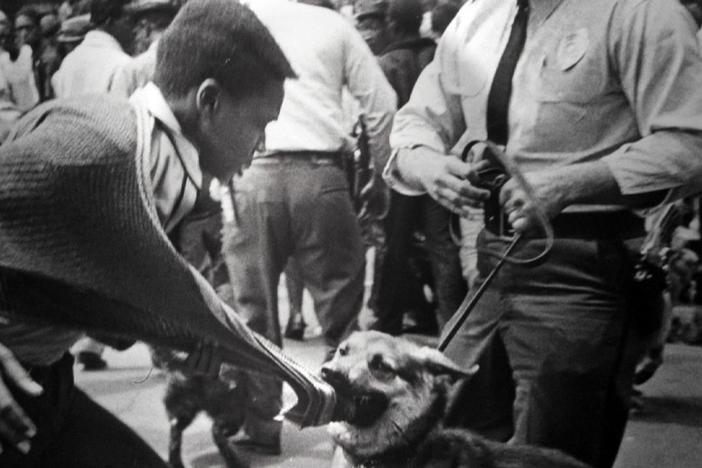 Fifty years ago, they braved police dogs and fire hoses to march against segregation.
