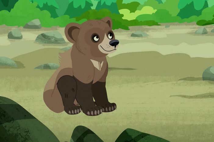 Aviva multi-tasks by looking for salmon and creating a grizzly bear creature power disc.