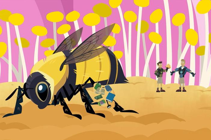 The brothers learn cool creature facts on the bumblebee.