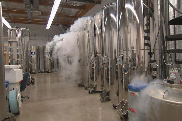 A company called Alcor freezes dead people, hoping to restore them to health one day.