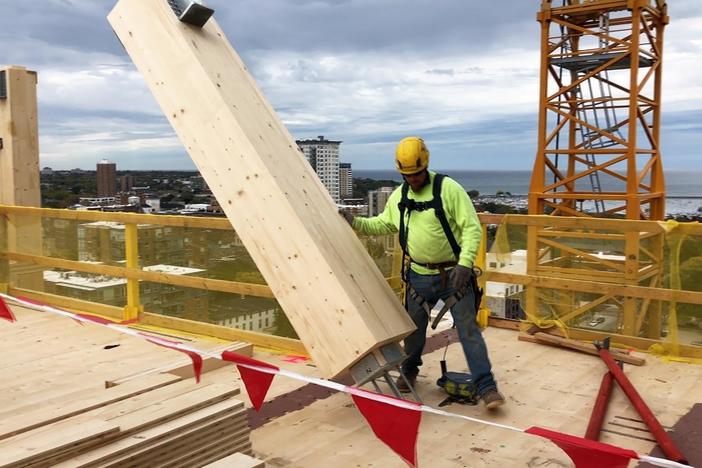 Is mass timber the building material of the future?