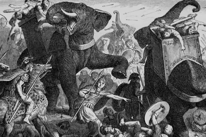 How did Hannibal's war elephants cross the Alps?