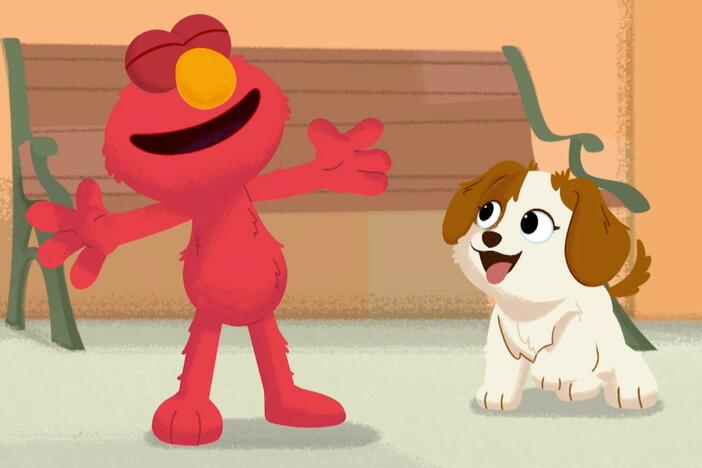 Elmo and Grover find a puppy