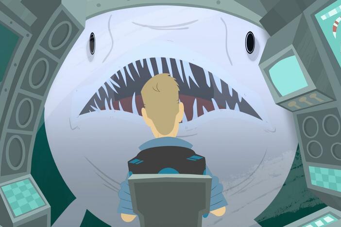 The Kratt brothers' GPS is broken and they come across a goblin shark.