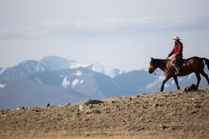 Discover the origins of the horse and how it changed our world forever.