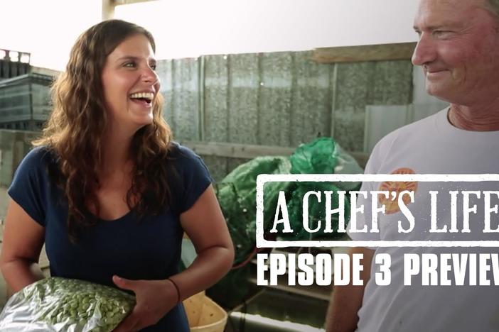 In this episode, Vivian and Ben are on the cusp of opening their new restaurant.