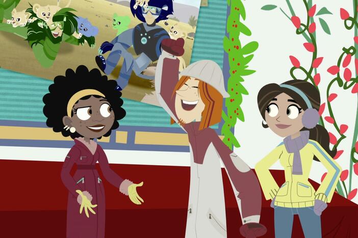The Kratts crew decides to hold off on their party and save their baby animal friends.