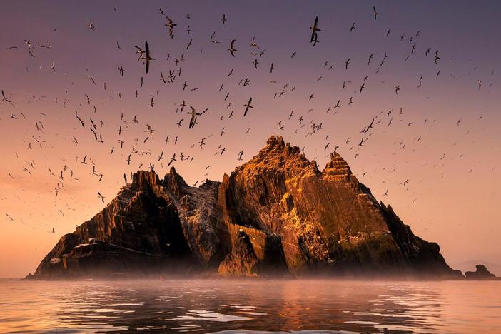 Follow a unique journey along one of the most spectacular coastlines in the world.