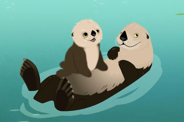 The Kratt brothers try to help Jimmy learn to swim with help from their sea otter friend. 