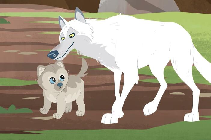 Chris activates his Arctic wolf creature powers to go hunt food with the other wolves.