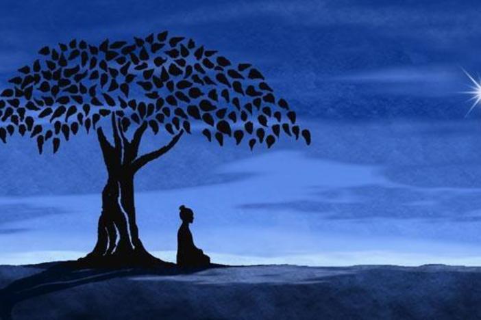 Filmmaker David Grubin presents the story of the Buddha's life and teachings.