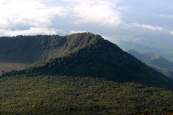 Rainforests in the Congo Basin are under threat as the DRC opens land to oil, gas drilling