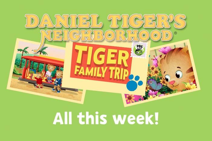 Buckle up for the Tiger Family Trip special and week of new episodes all this week!