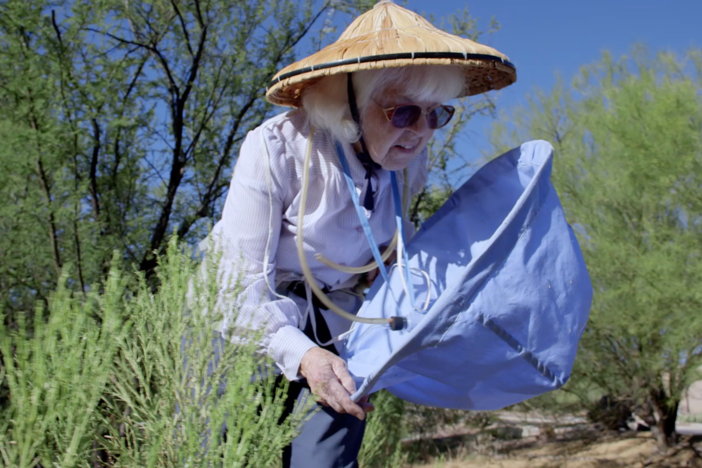Lois and Charlie O’Brien have amassed the world’s largest private insect collection.