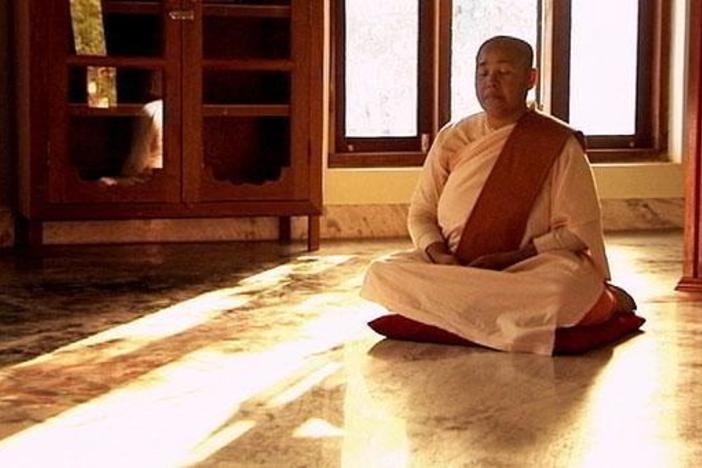 Bliss-nirvana-the Buddha taught, could be found through the practice of meditation.