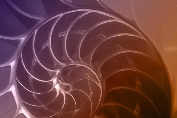 Is math invented by humans, or is it the language of the universe?