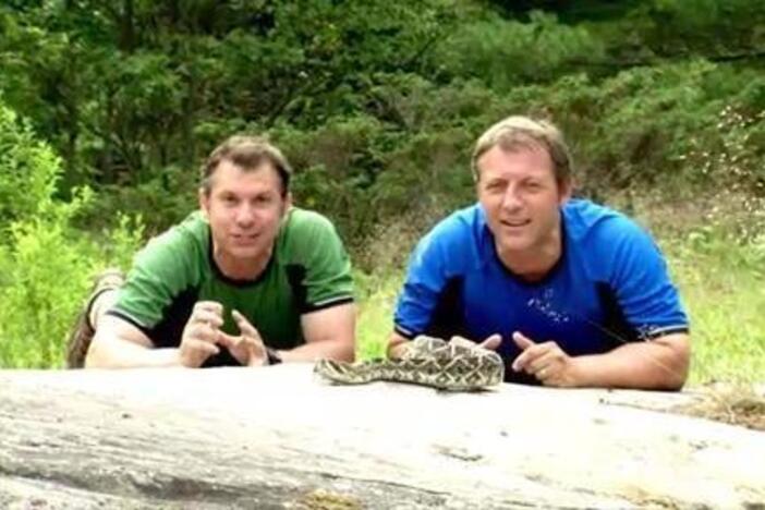 Just like a snake, Chris uses heat to sense where Martin is hiding.