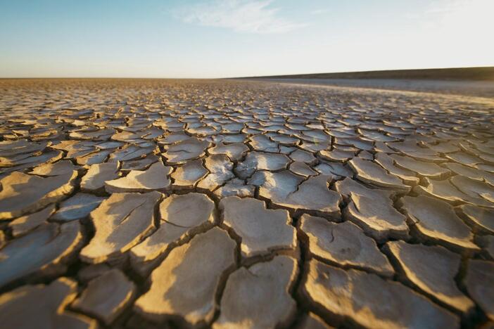 Aída Navarro joins the fight to revive the Colorado River Delta — and hope is flowing again.