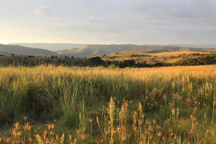 Deep in a South African cave, an astounding discovery reveals clues to what made us human.