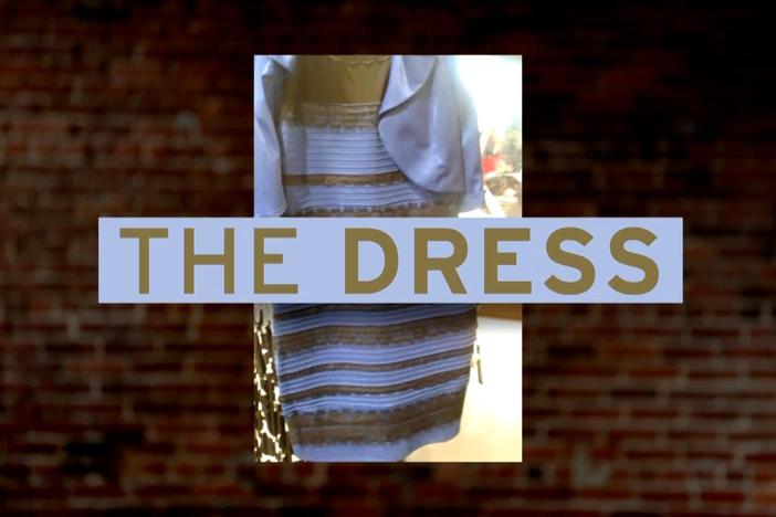 A vision scientist breaks down the infamous dress debate.