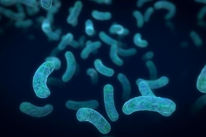 Microbes colonize our skin, guts, and bodies—but we wouldn’t be ourselves without them.