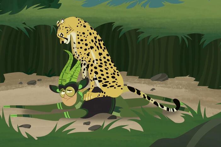 A cheetah tries to hunt Chris down while he's wearing a gazelle creature power suit!
