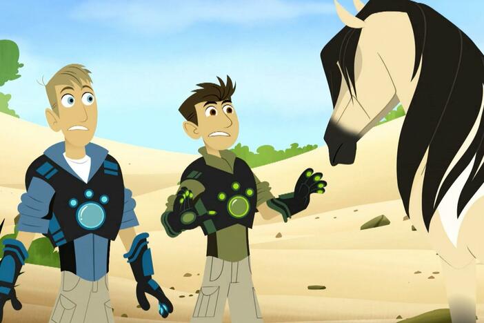 Martin, Chris, Aviva and Koki are on a creature adventure looking for wild ponies.