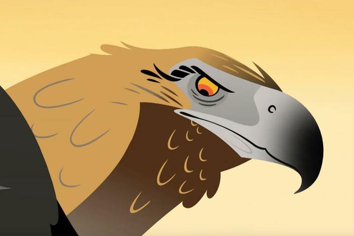 An eagle swoops down on the kangaroos and threatens both their and the brothers' safety