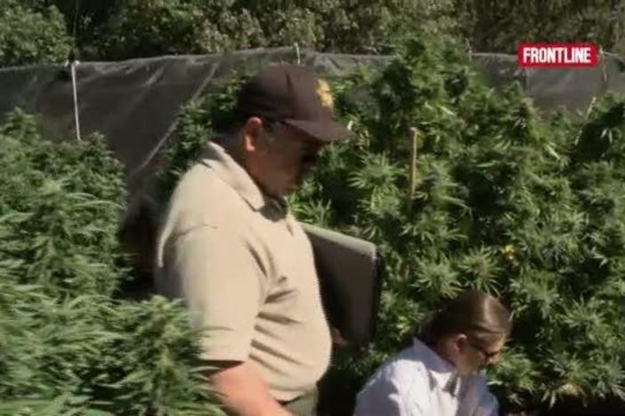 Coming July 26: Sgt. Randy Johnson used to bust pot growers. Now he works with them.