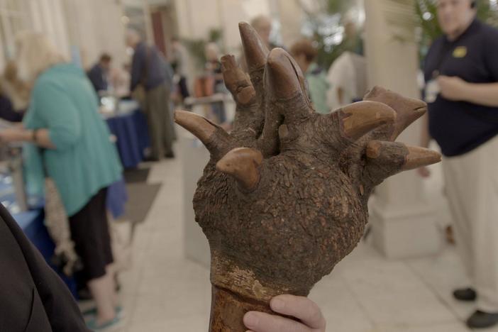 Appraisal: Penobscot Carved Root Club, ca. 1850, from Newport, Part 2.