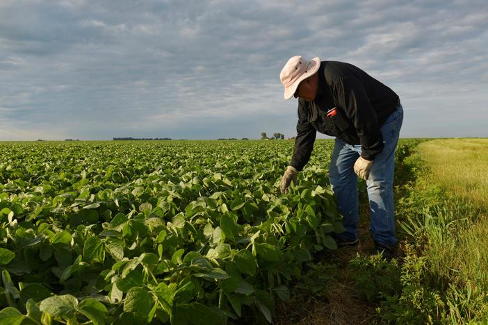 Sen. Sasse: U.S. needs more trade, not ‘bellicose threatening’