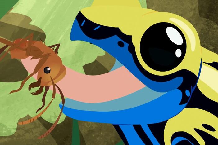 The Wild Kratts accidentally get miniaturized.